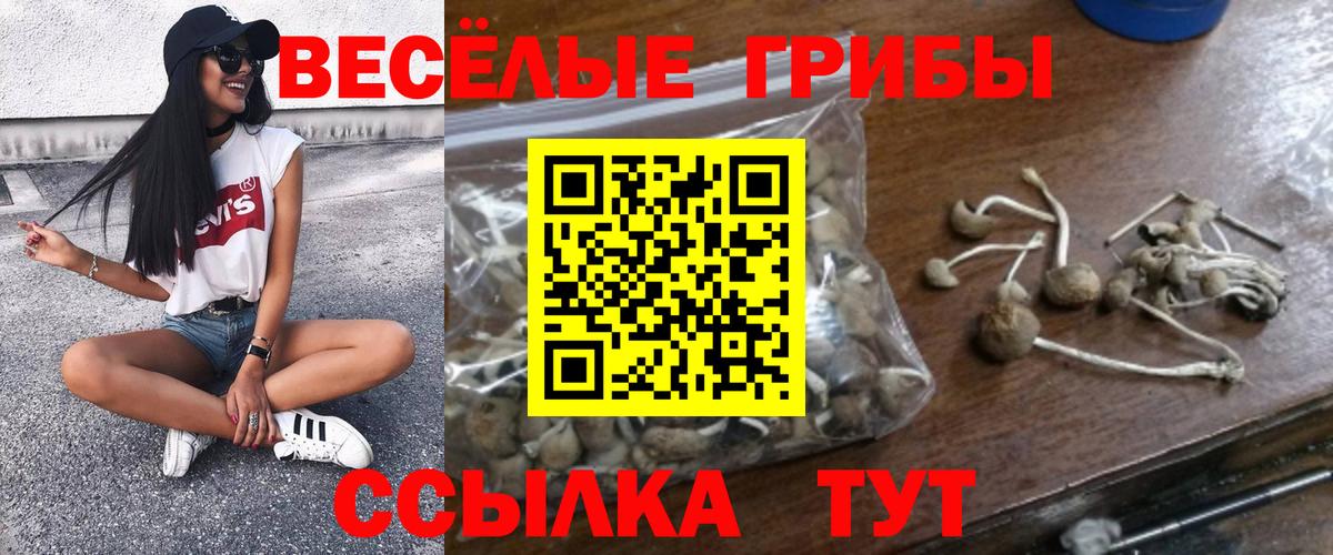 Галлюциногенные грибы ЛСД  Галлюциногенные грибы прущие грибы  Фурманов  Вход с VPN 