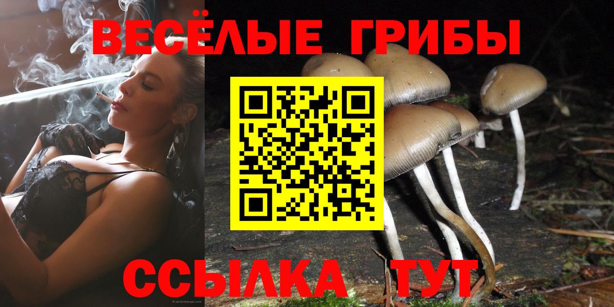 Псилоцибиновые грибы GOLDEN TEACHER Фурманов
